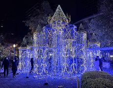 ドリミと、えべっさんな夜